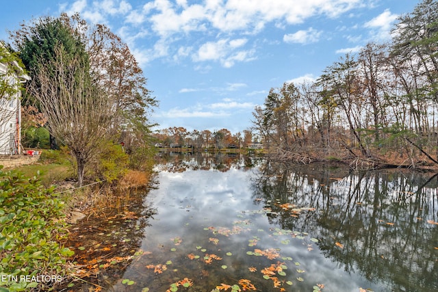 property view of water