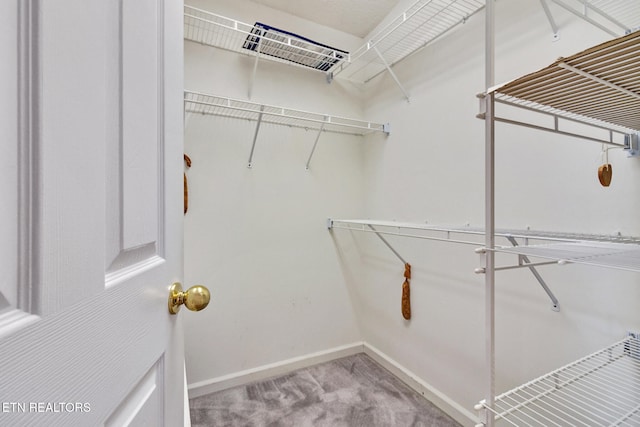 spacious closet featuring light colored carpet