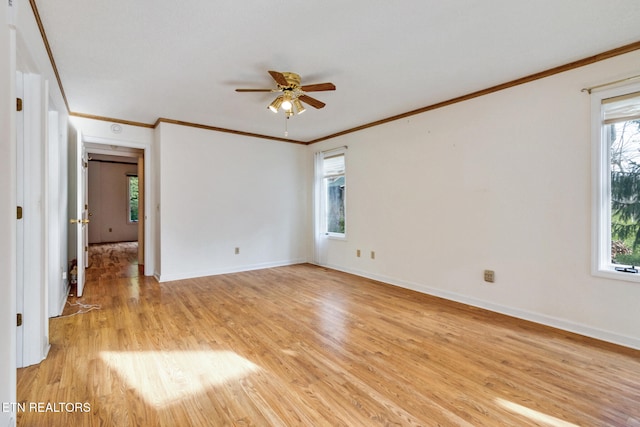 empty room featuring light wood-type flooring, ceiling fan, and crown molding