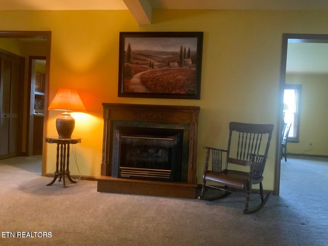 1315 Winchester Ave, Middlesboro, KY 40965 - sitting room featuring carpet and a glass covered fireplace
