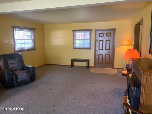 living area featuring plenty of natural light and carpet floors