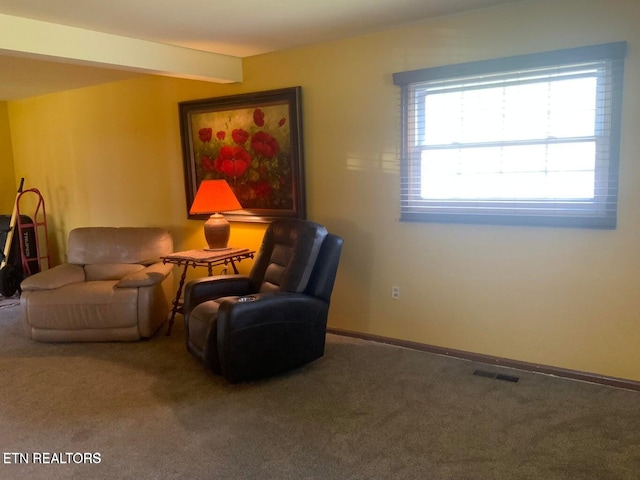 sitting room featuring carpet flooring