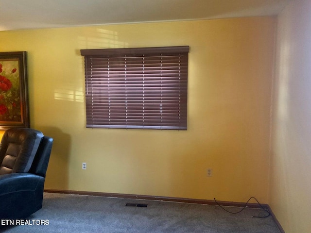 sitting room featuring carpet floors