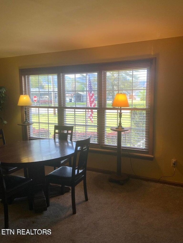 dining room featuring a wealth of natural light and carpet floors