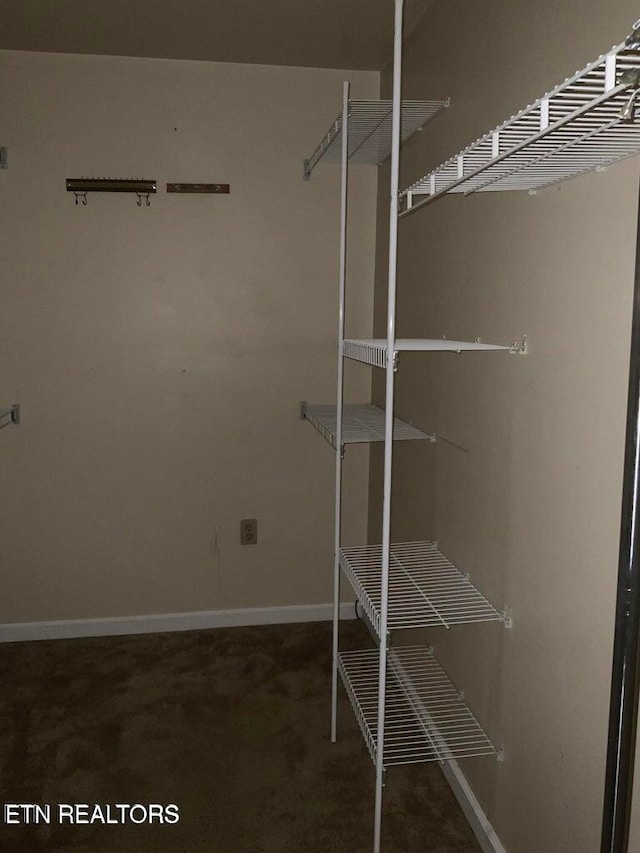 walk in closet featuring carpet floors