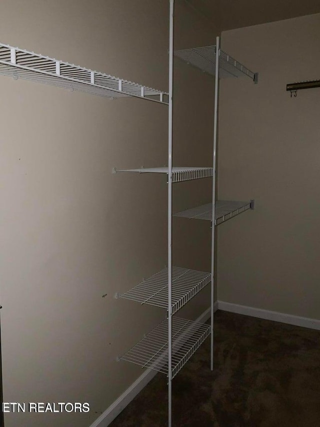 view of walk in closet