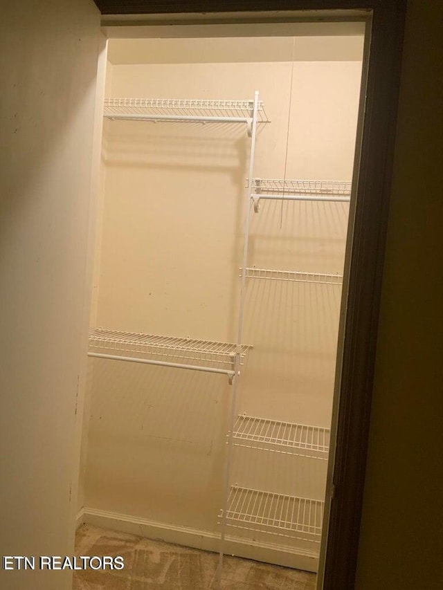 view of closet