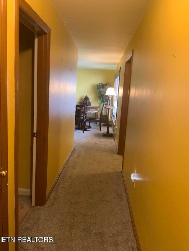 1315 Winchester Ave, Middlesboro, KY 40965 - hallway featuring carpet and baseboards