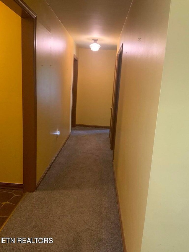 hall featuring carpet floors