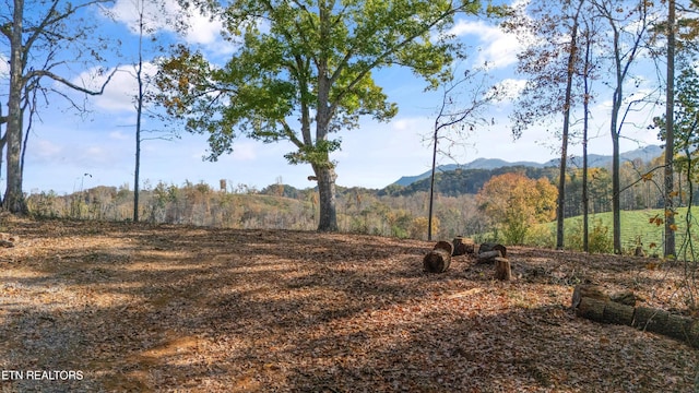 Listing photo 3 for Old Walland Hwy, Walland TN 37886