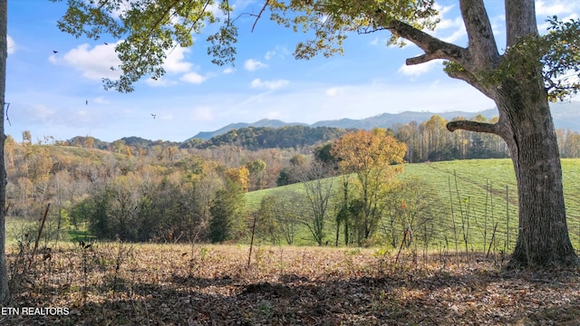 Old Walland Hwy, Walland TN, 37886 land for sale