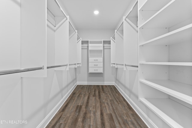 walk in closet featuring dark wood-type flooring