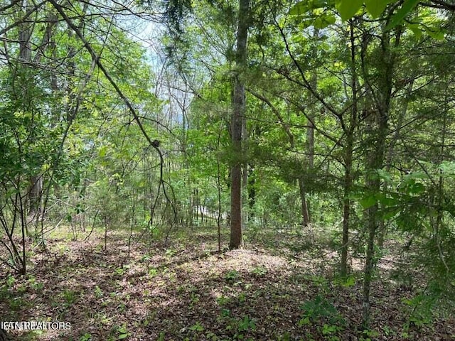 LOT12 Norris View Dr, Lafollette TN, 37766 land for sale