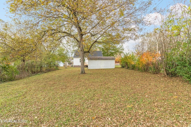 view of yard featuring a storage unit