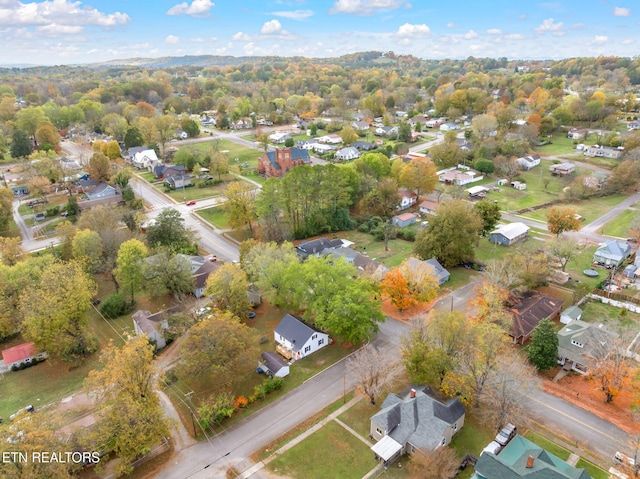 bird's eye view