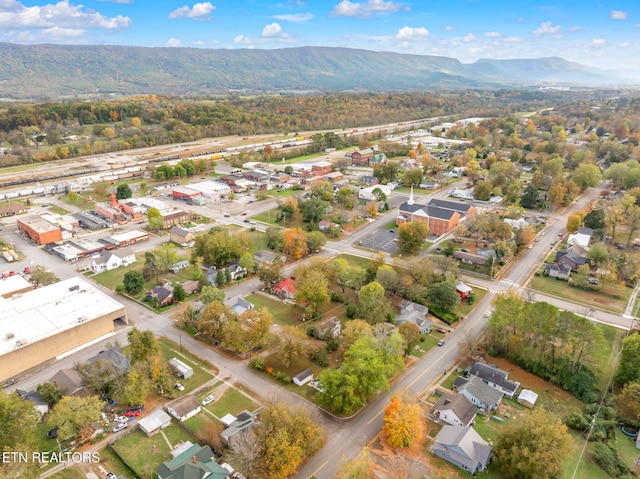 birds eye view of property featuring a mountain view