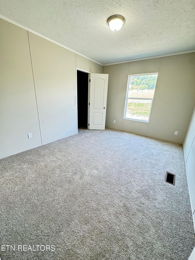 unfurnished room with carpet and a textured ceiling