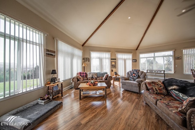 living room featuring lofted ceiling with beams, wood-type flooring, and a healthy amount of sunlight