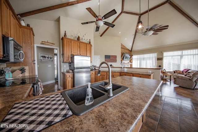 kitchen featuring high vaulted ceiling, dark hardwood / wood-style flooring, appliances with stainless steel finishes, and sink