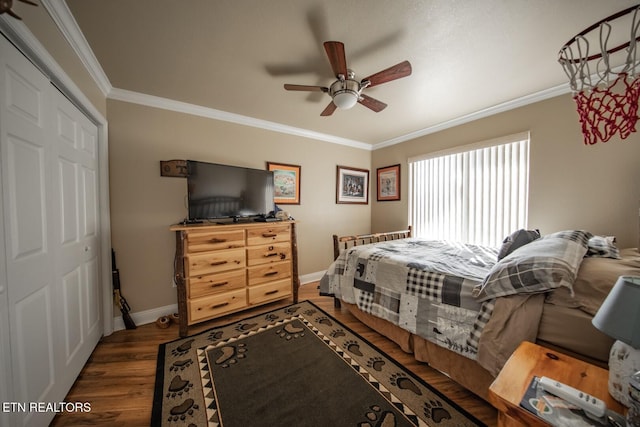 bedroom featuring ceiling fan, dark hardwood / wood-style floors, a closet, and crown molding