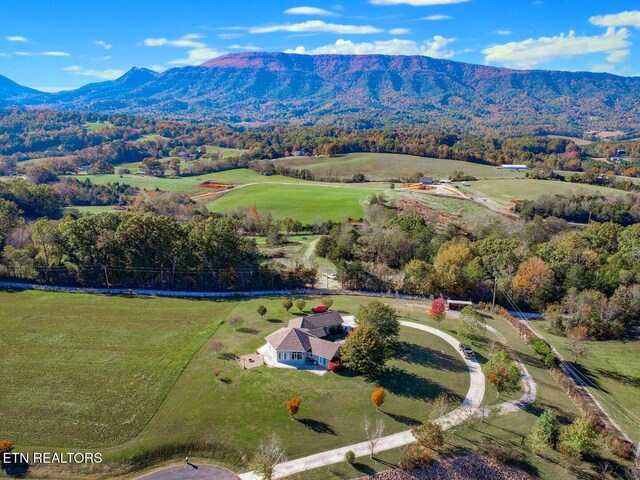 birds eye view of property with a mountain view