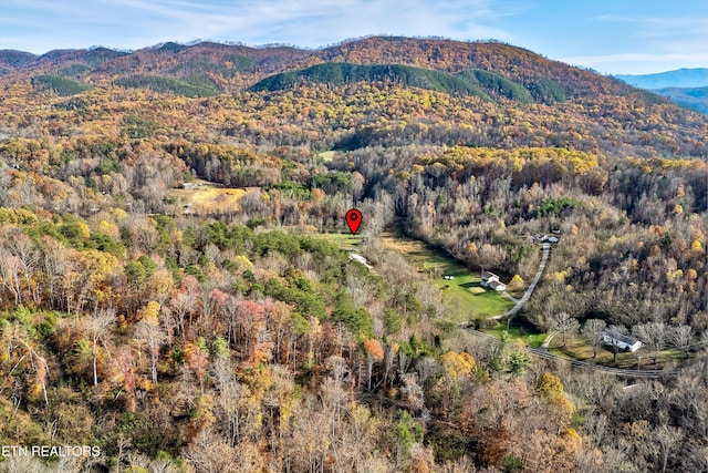 property view of mountains