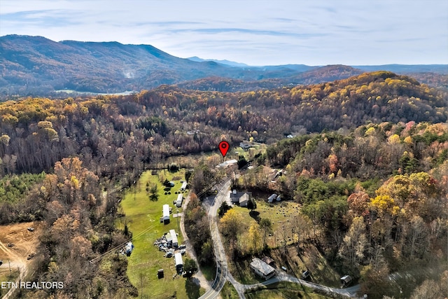 drone / aerial view with a mountain view