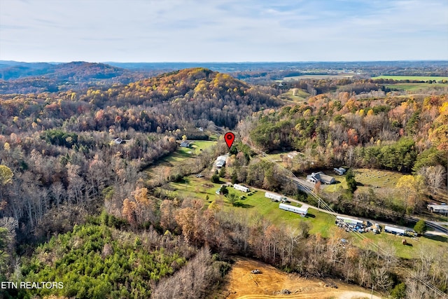 aerial view