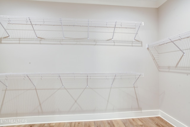 spacious closet featuring wood-type flooring