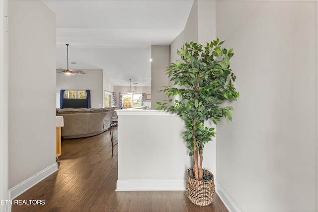 hall with dark hardwood / wood-style floors