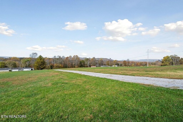 view of yard with a rural view