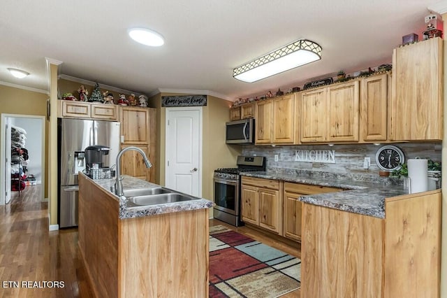 kitchen with stainless steel appliances, sink, ornamental molding, a kitchen island with sink, and dark hardwood / wood-style flooring