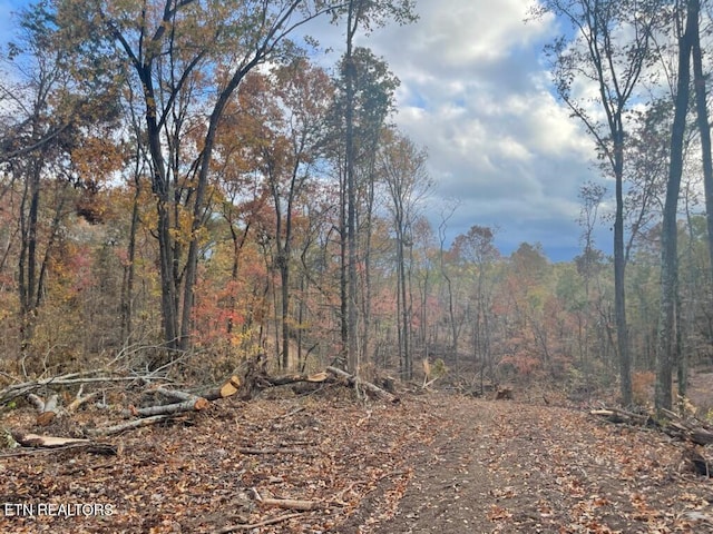 Cedar Grove Rd, Loudon TN, 37774 land for sale