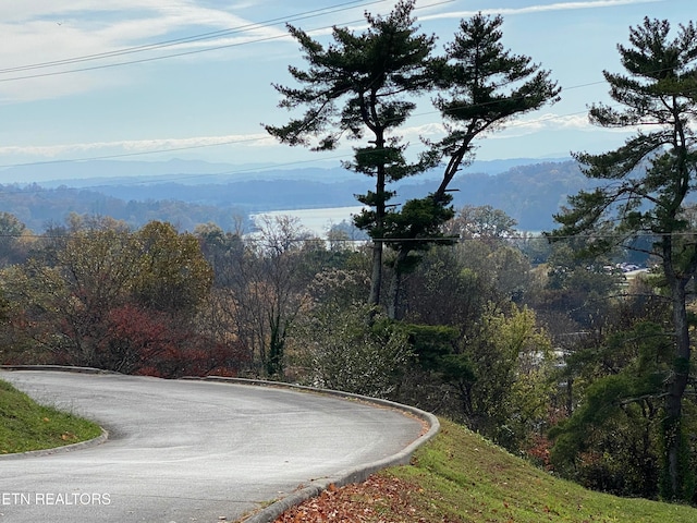 view of road featuring a mountain view