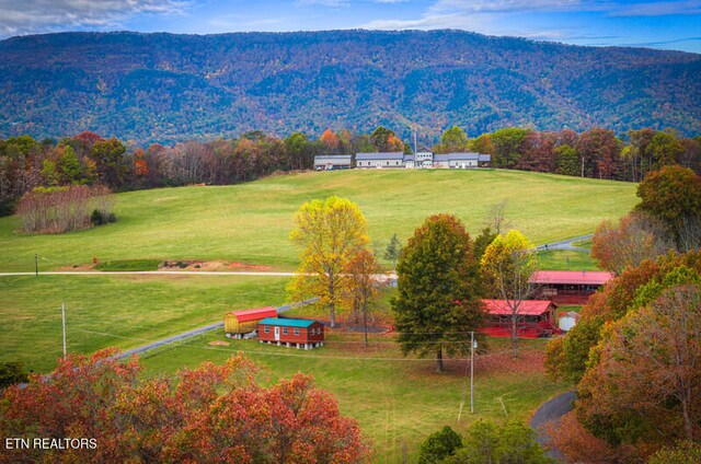 view of mountain feature featuring a rural view