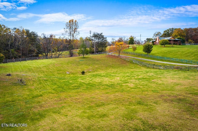 view of yard with a rural view