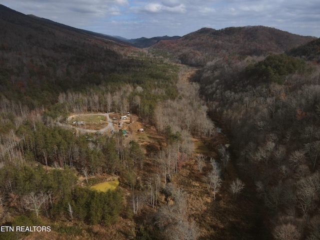 1693 Steve Brown Rd, Bean Station, TN 37708 - photo 1