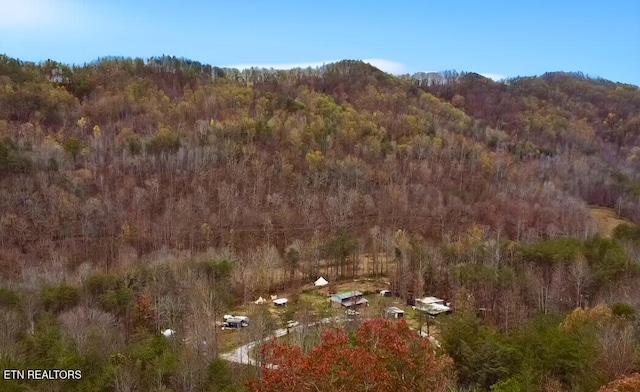 1693 Steve Brown Rd, Bean Station, TN 37708 - photo 6