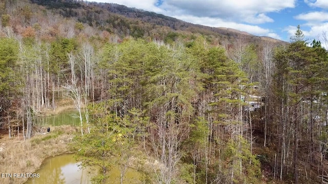 1693 Steve Brown Rd, Bean Station, TN 37708 - photo 16