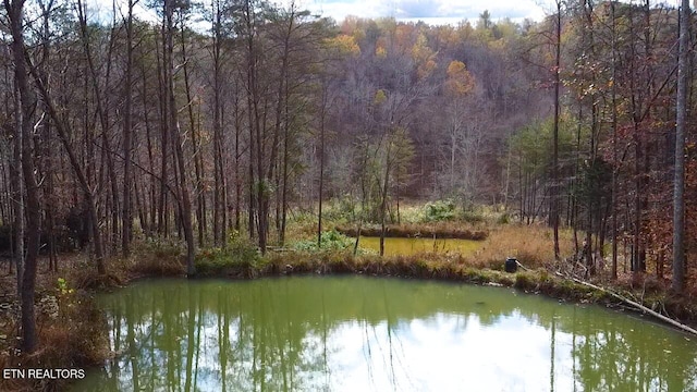 1693 Steve Brown Rd, Bean Station, TN 37708 - photo 19