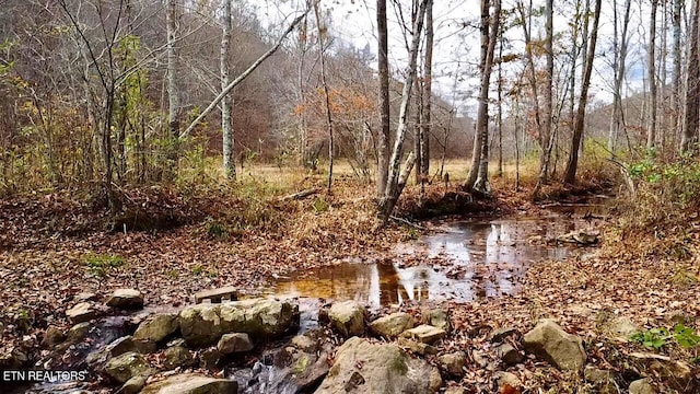1693 Steve Brown Rd, Bean Station, TN 37708 - photo 21