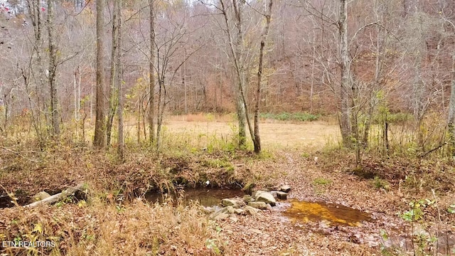 1693 Steve Brown Rd, Bean Station, TN 37708 - photo 22