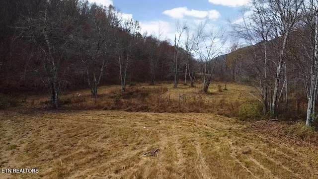 1693 Steve Brown Rd, Bean Station, TN 37708 - photo 20
