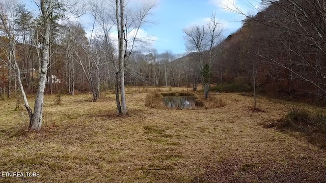 1693 Steve Brown Rd, Bean Station, TN 37708 - photo 23