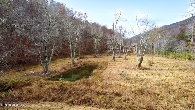 1693 Steve Brown Rd, Bean Station, TN 37708 - photo 24