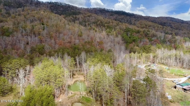 1693 Steve Brown Rd, Bean Station, TN 37708 - photo 4
