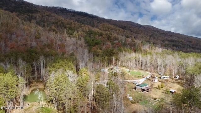 1693 Steve Brown Rd, Bean Station, TN 37708 - photo 3