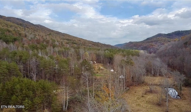 1693 Steve Brown Rd, Bean Station, TN 37708 - photo 7