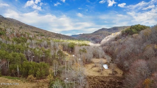 1693 Steve Brown Rd, Bean Station, TN 37708 - photo 5