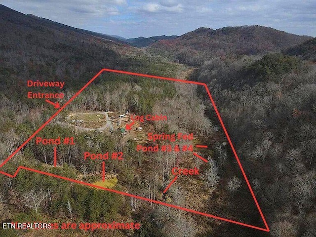 1693 Steve Brown Rd, Bean Station, TN 37708 - photo 2